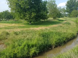 Prodej zahrady, Bučovice, 2010 m2