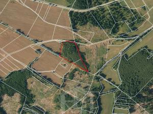 Prodej lesa, Studená, 12013 m2