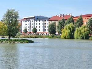 Prodej bytu 1+kk, Hranice, Jiřího z Poděbrad, 34 m2