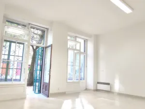 Prodej obchodního prostoru, Praha - Nusle, 34 m2