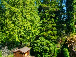 Prodej rodinného domu, Třinec, Dukelská, 150 m2