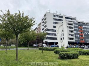 Pronájem bytu 2+kk, Brno, Mezírka, 78 m2