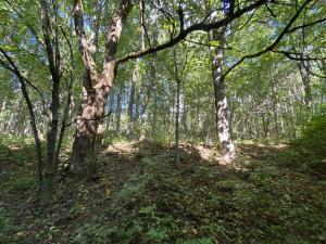 Prodej pozemku, Lánov - Horní Lánov, 1080 m2