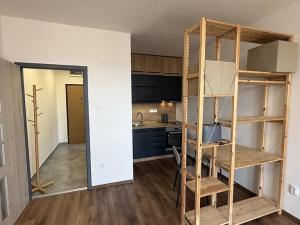 Pronájem bytu 1+kk, Rožnov pod Radhoštěm, Valašská, 28 m2