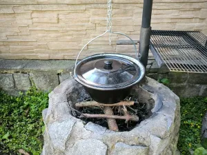 Prodej rodinného domu, Lipová-lázně, 555 m2