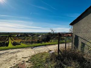 Prodej vinného sklepa, Velké Bílovice, 100 m2