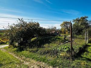 Prodej vinného sklepa, Velké Bílovice, 100 m2