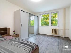 Prodej bytu 1+1, Plzeň, Komenského, 36 m2