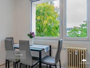 Prodej bytu 1+1, Plzeň, Komenského, 36 m2