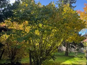 Prodej zemědělské usedlosti, Nučice, 135 m2