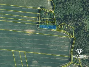 Prodej lesa, Šípy, 1093 m2