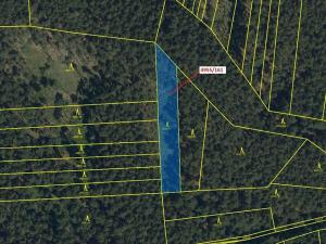 Dražba lesa, Vracov, 1702 m2