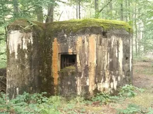 Prodej - jiné, Dubá, 22 m2