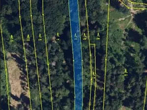 Prodej lesa, Ochoz, 1833 m2