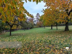 Prodej rodinného domu, Netunice, 127 m2