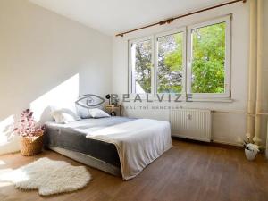 Prodej bytu 1+1, České Budějovice, Kubatova, 50 m2