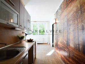 Prodej bytu 1+1, České Budějovice, Kubatova, 50 m2