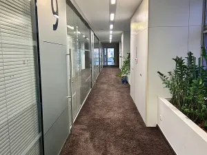 Pronájem kanceláře, Praha - Nové Město, Vladislavova, 977 m2