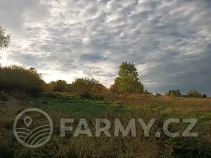 Prodej pole, Vráž, 17027 m2