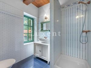 Prodej komerční nemovitosti, Stříbrná Skalice, 1700 m2