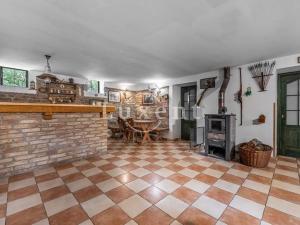 Prodej komerční nemovitosti, Stříbrná Skalice, 1700 m2