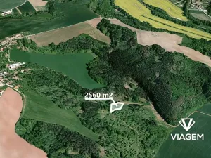 Prodej lesa, Obora, 2560 m2