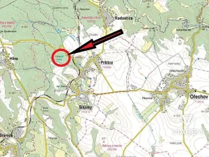 Prodej podílu lesa, Prštice, 1259 m2