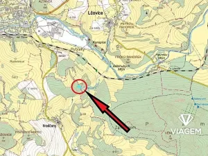 Prodej podílu lesa, Bošice, 1711 m2