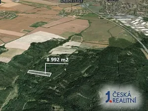 Prodej podílu lesa, Drahelčice, 3372 m2