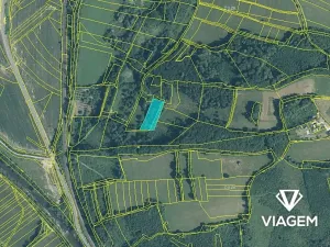 Prodej podílu lesa, Jablůnka, 921 m2