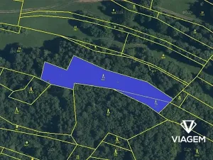 Prodej podílu lesa, Lidečko, 1248 m2