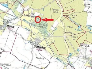 Prodej lesa, Borkovice, 8398 m2