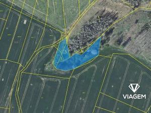 Prodej podílu lesa, Radošovice, 683 m2