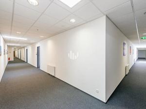 Pronájem kanceláře, Praha - Nové Město, Václavské náměstí, 191 m2