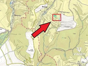 Prodej lesa, Tvrdkov, 5303 m2