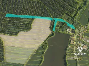 Prodej podílu lesa, Olešnice, 3009 m2