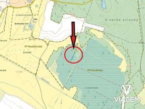 Prodej lesa, Borkovice, 1472 m2