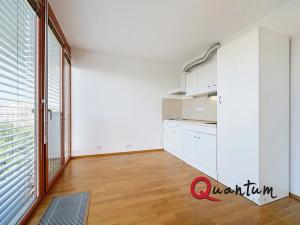 Pronájem bytu 1+kk, Praha - Žižkov, Květinková, 37 m2