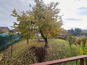 Prodej rodinného domu, Nová Bystřice, Polní, 200 m2