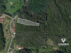 Prodej lesa, Letovice, 2436 m2