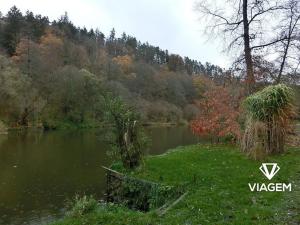 Prodej lesa, Bečice, 36578 m2