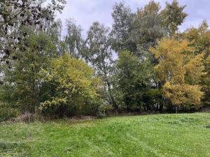 Prodej rodinného domu, Blažejov, 600 m2