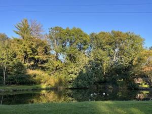 Prodej rodinného domu, Blažejov, 600 m2