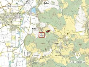 Prodej podílu zahrady, Kolšov, 3297 m2