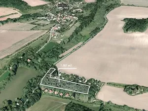 Prodej lesa, Pozdeň, 7287 m2