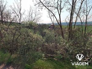 Prodej podílu zahrady, Beroun, 1158 m2