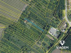 Prodej zahrady, Týnec, 388 m2