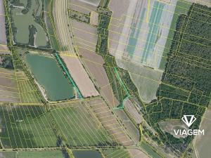 Prodej podílu lesa, Lysá nad Labem, 147 m2