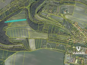 Prodej podílu pole, Martiněves, 5948 m2