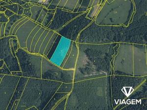 Prodej podílu lesa, Vsetín, Dolní Jasenka, 1671 m2